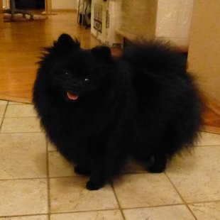 День Рождения Лоты - 3 года