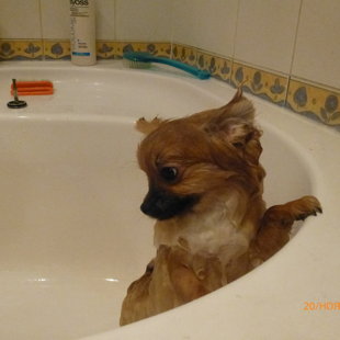 Первая помывка