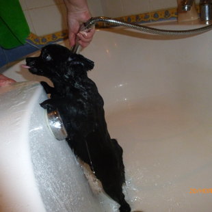 Первое купание