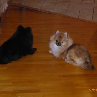 Мама ушла в магазин