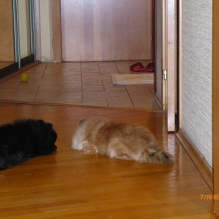 Что то, долго не возвращается....