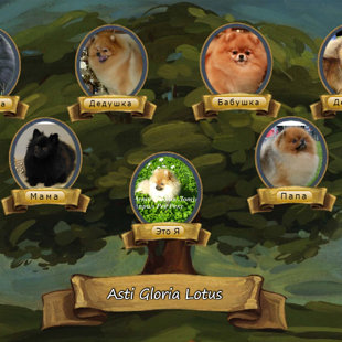 Родословная