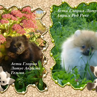 Осенний коллаж