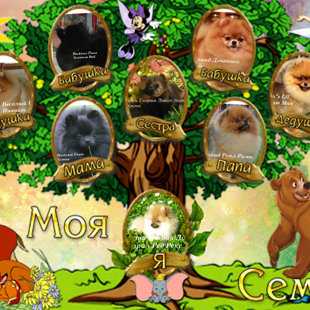 "ролословное дерево"