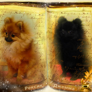 Нам 7 месяцев