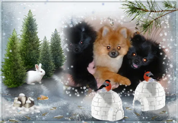 Новогодний коллаж