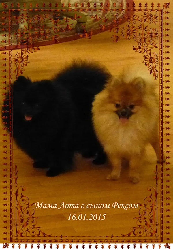 Мама с сыном
